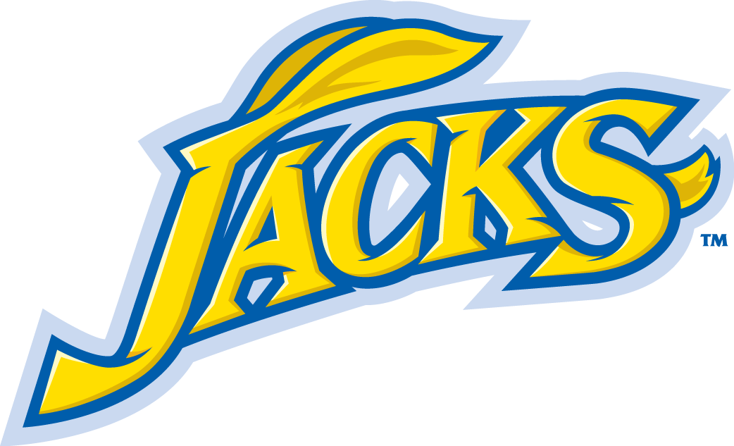 South Dakota State Jackrabbits 2008-Pres Wordmark Logo iron on transfers for fabric